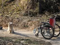 包含-pg麻将胡了下载入口